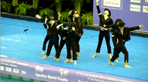 Synchronized-Swimming-USA-Team-Montreal-November2009.png