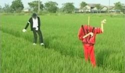 mjscarecrow-taiwan.jpg
