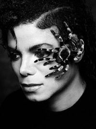 MJ-with-tarantula-Greg-Gorman-1987.jpg