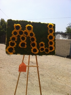 sunflowers-June2011.jpg