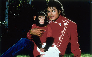 MJ-Bubbles.jpg