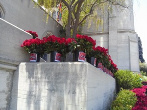 memorial-25062014-forestlawn-16.jpg