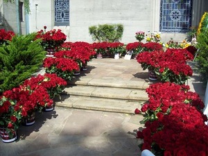 memorial-25062014-forestlawn-17.jpg